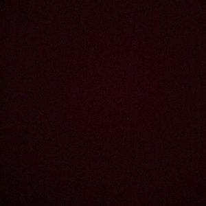 Meet your Posher, Bridget